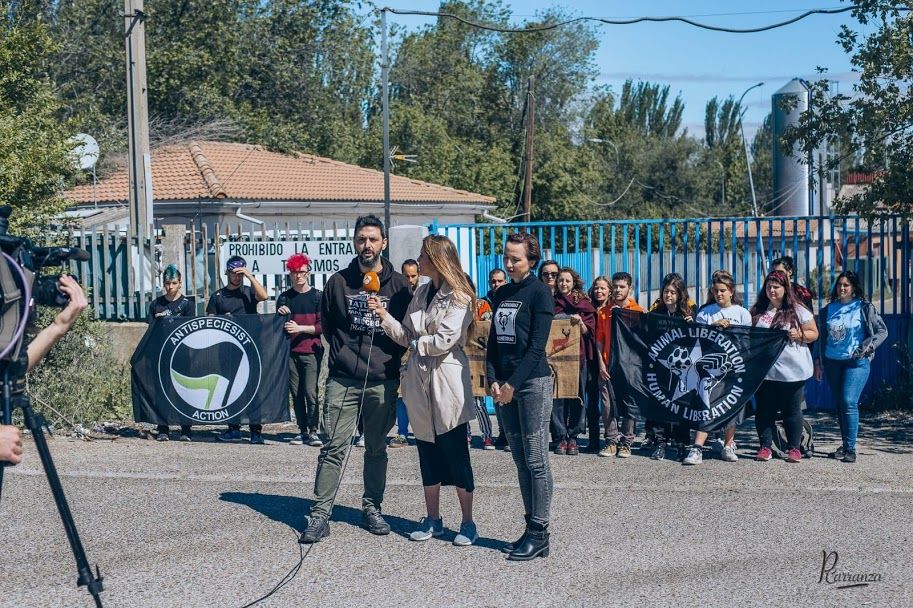 Tipos de Activismo