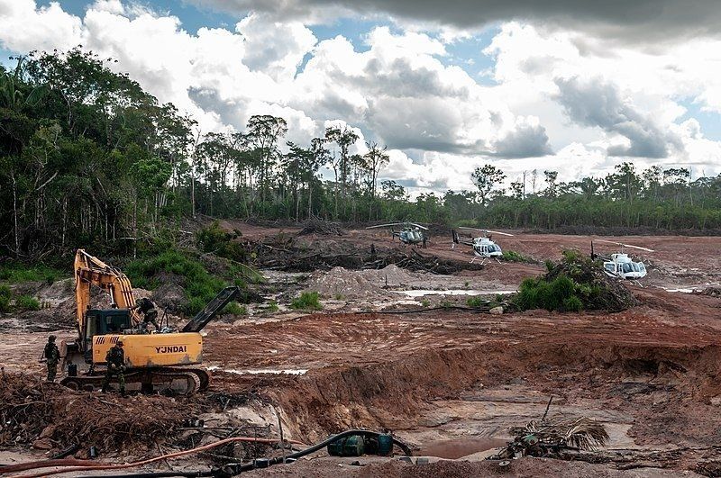 Sector del amazonas arrasado por la industria maderera.