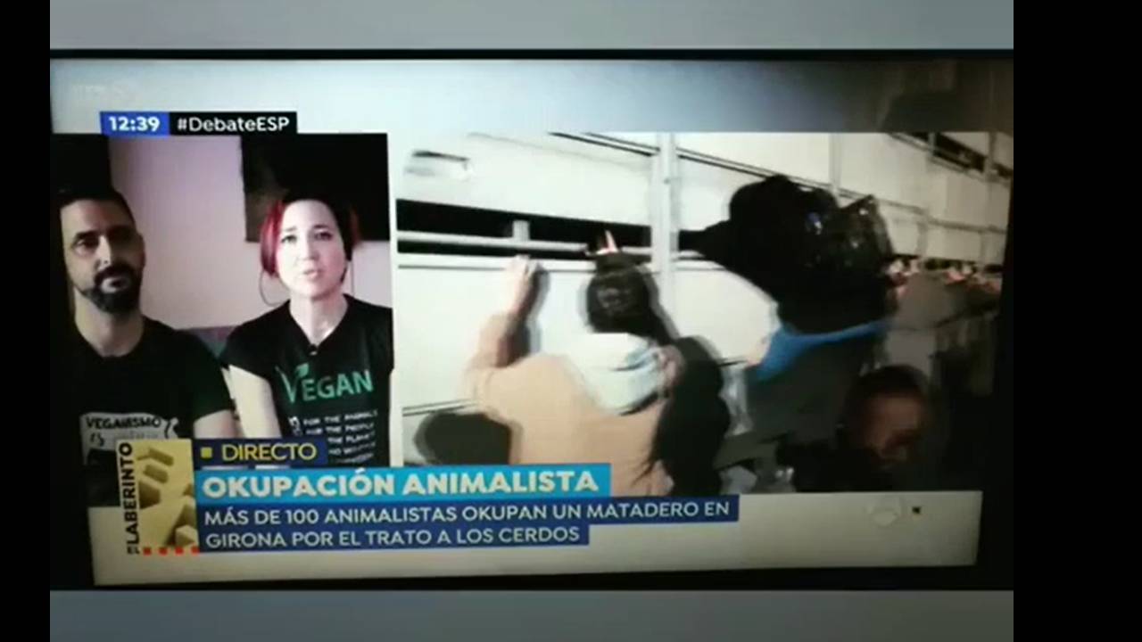 Antena 3 – Espejo Público – Conexión en directo desde casa